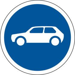 Mandatory lane for cars.