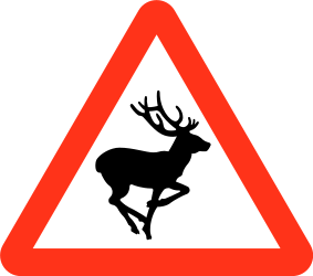 道路上の牛への警告。