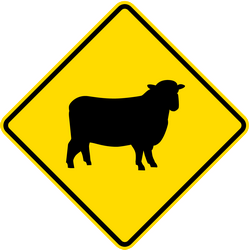 Waarschuwing voor schapen op de weg.