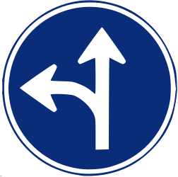 Driving straight ahead or turning left mandatory.