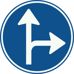 Driving straight ahead or turning right mandatory.