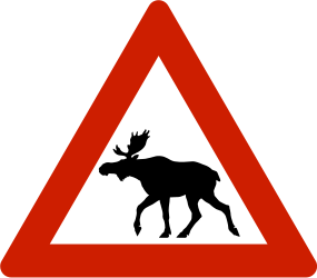 Waarschuwing voor elanden op de weg.