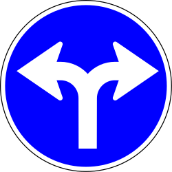 Girar a la izquierda oa la derecha es obligatorio.