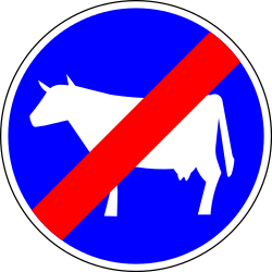 End of the path for cattle.