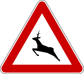 Предупреждение для крупного рогатого скота на дороге.