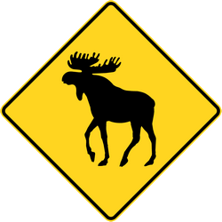 Waarschuwing voor elanden op de weg.