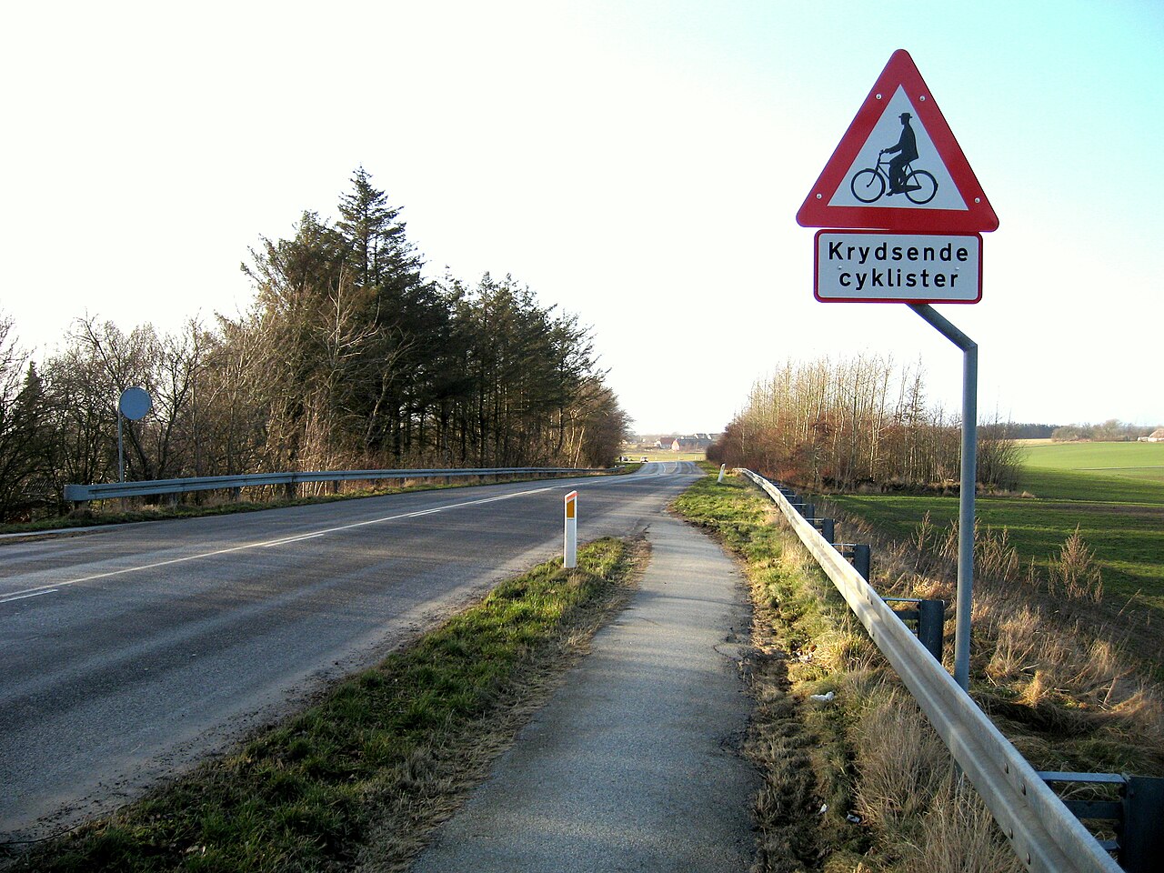 Cyclist