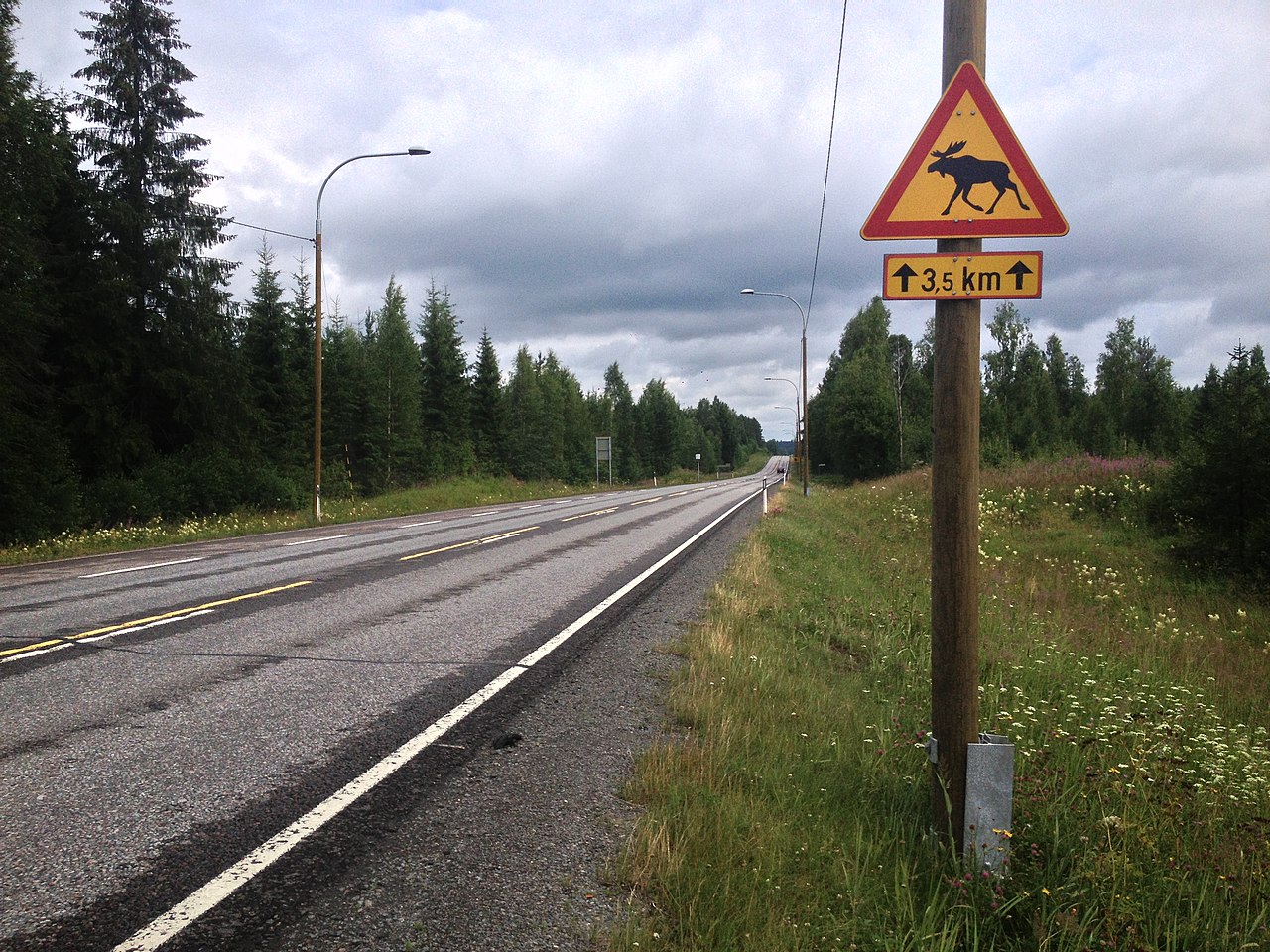 Crossing animals