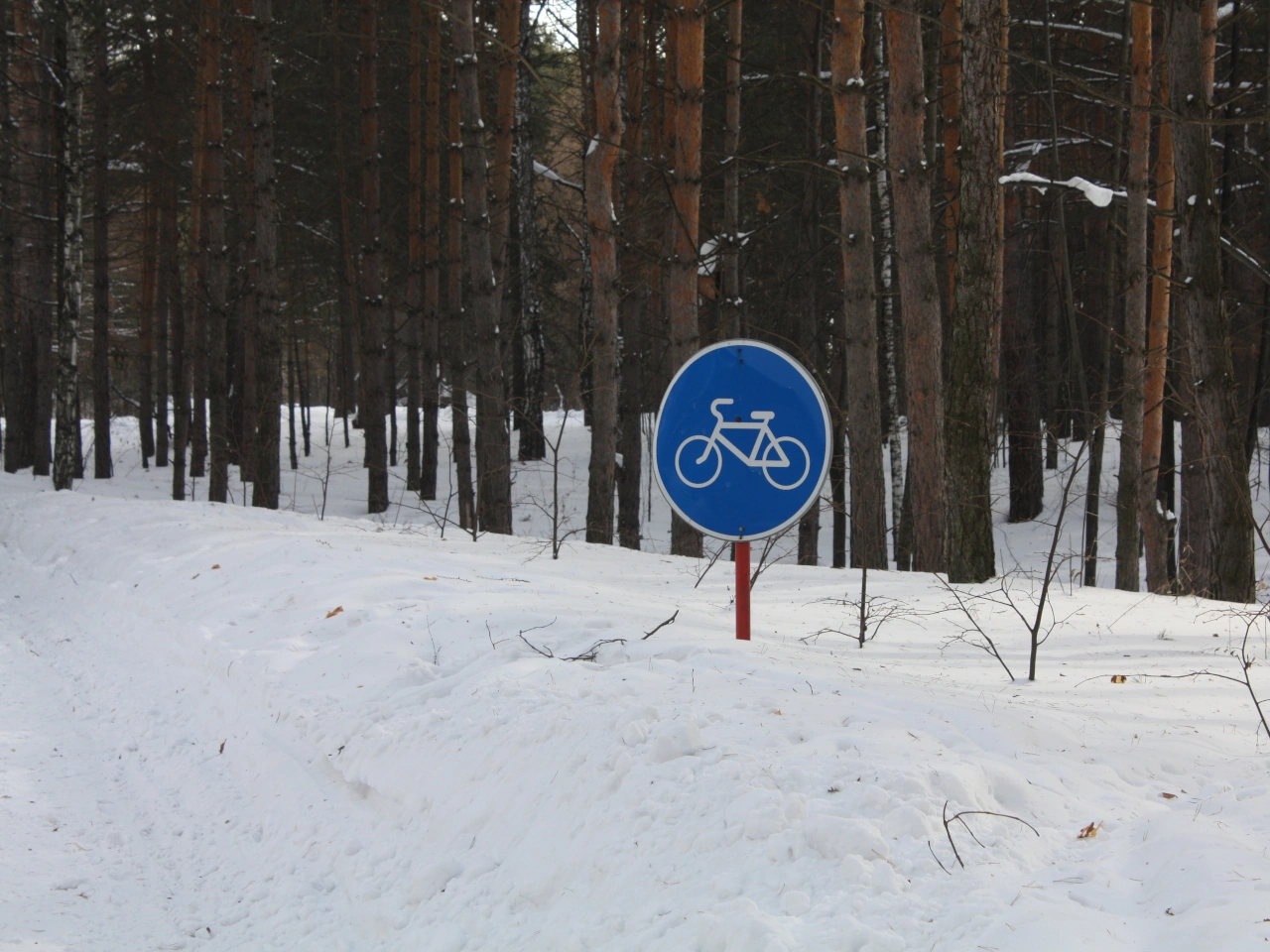 Carril bici