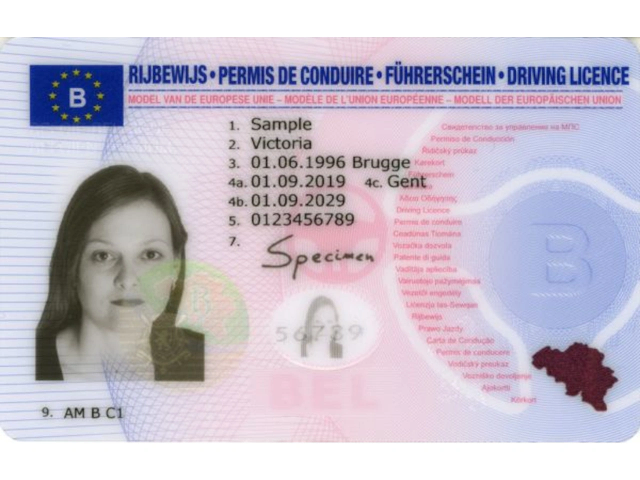 Permis de conduire