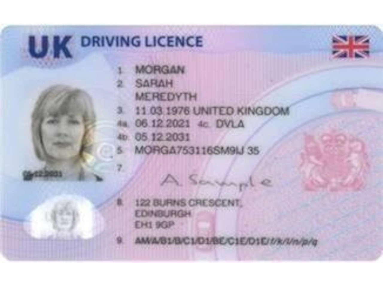 Driving licence