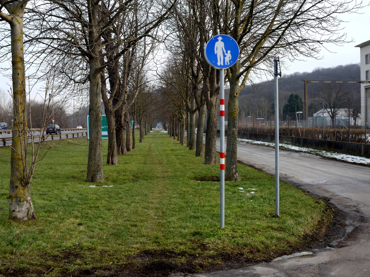 Senda peatonal