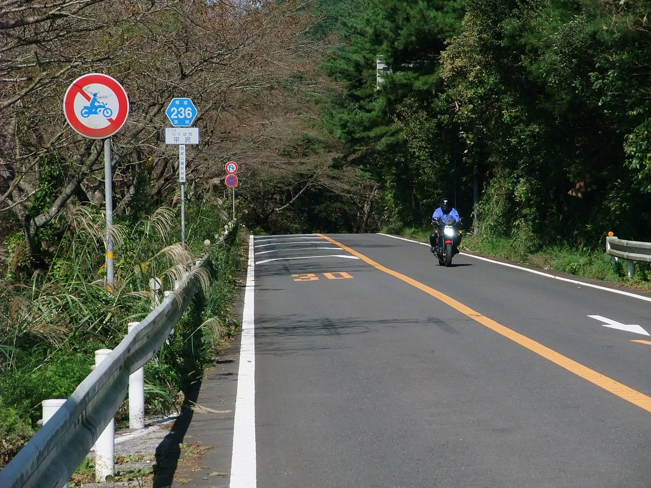 Moped