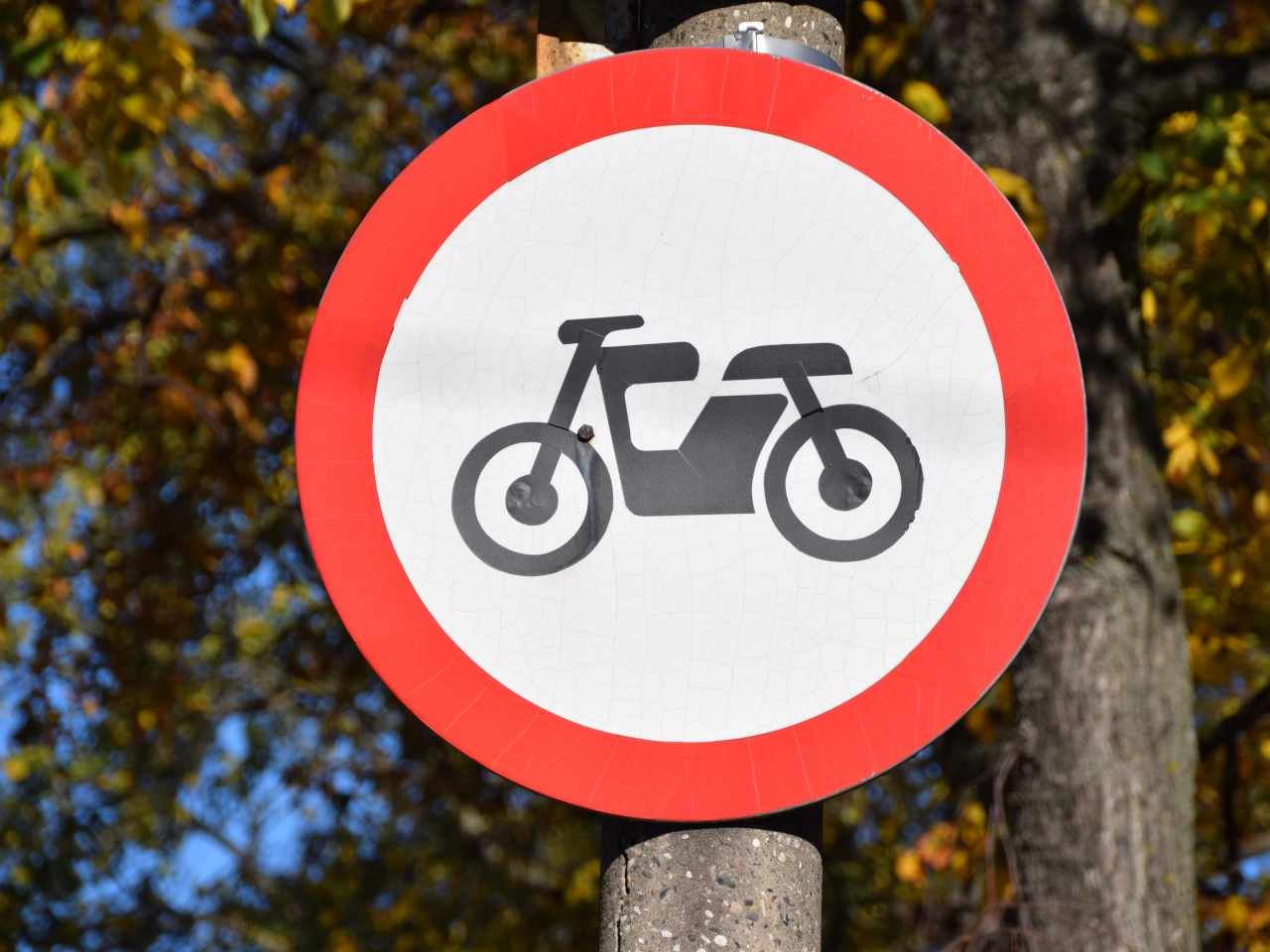 Ciclomotor