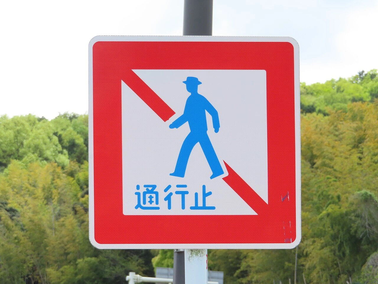 Pedestrian