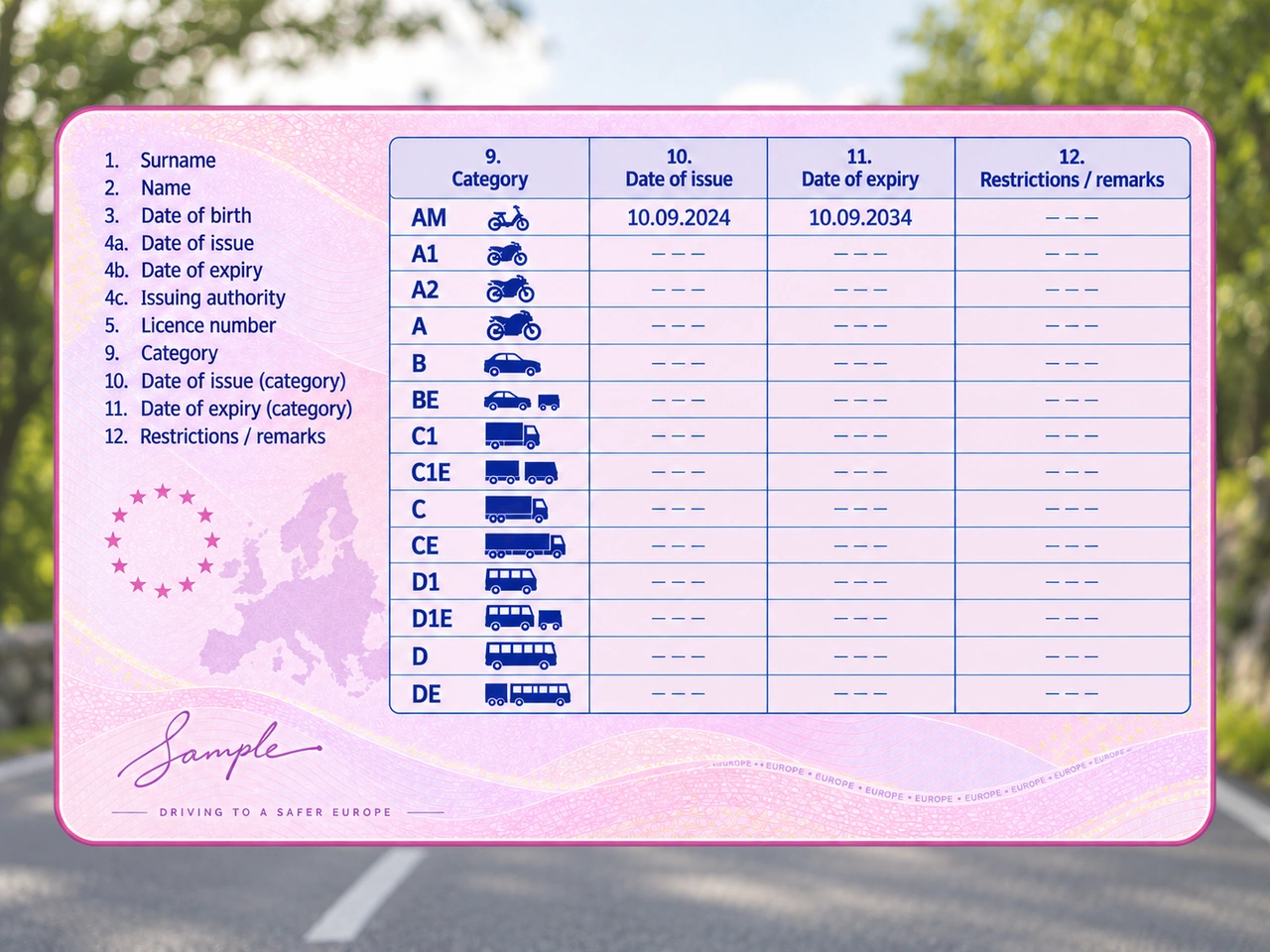 Which vehicles are covered by driving licence AM?