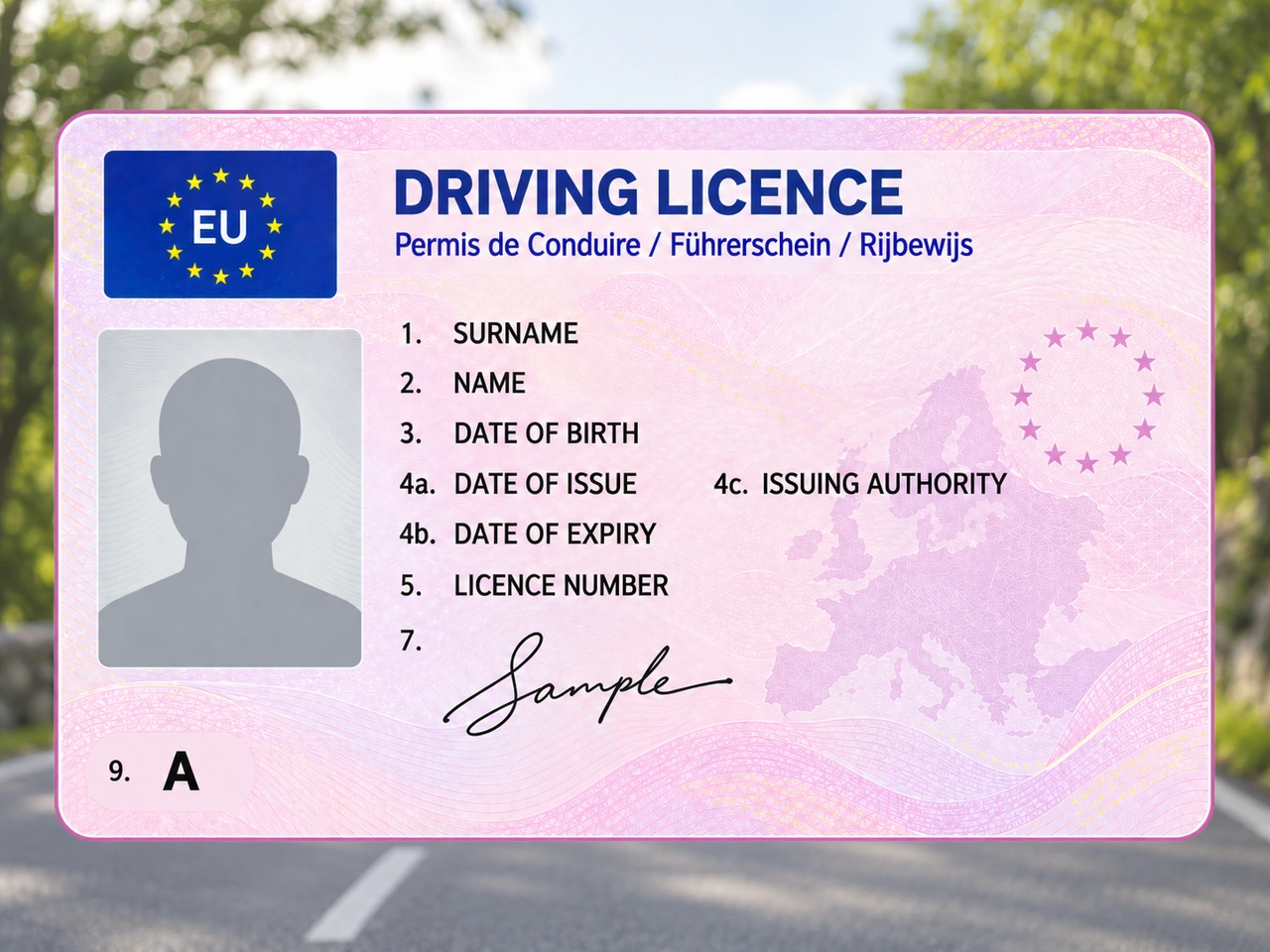 Which vehicle type is mainly associated with driving licence A?