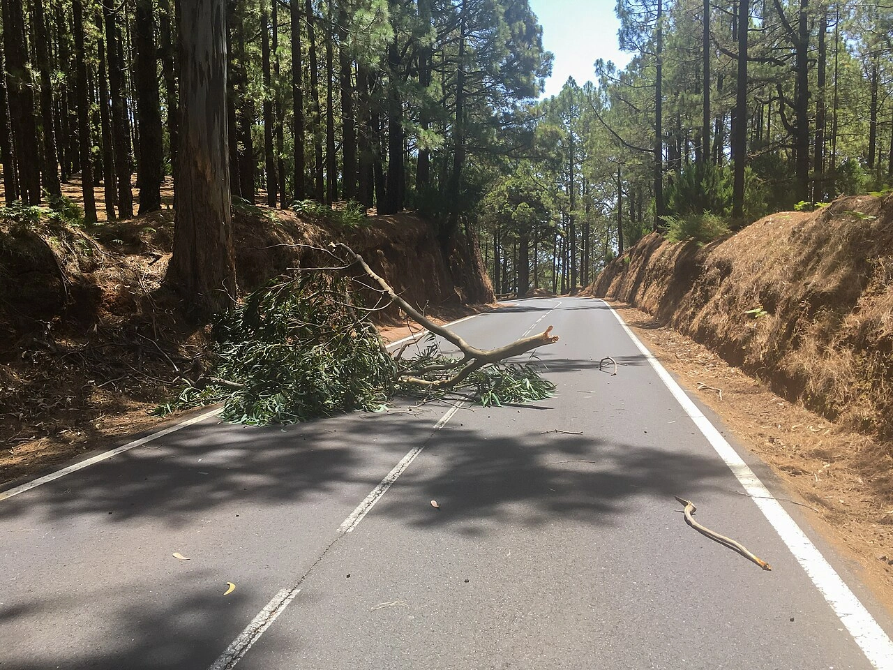 Débris sur la route