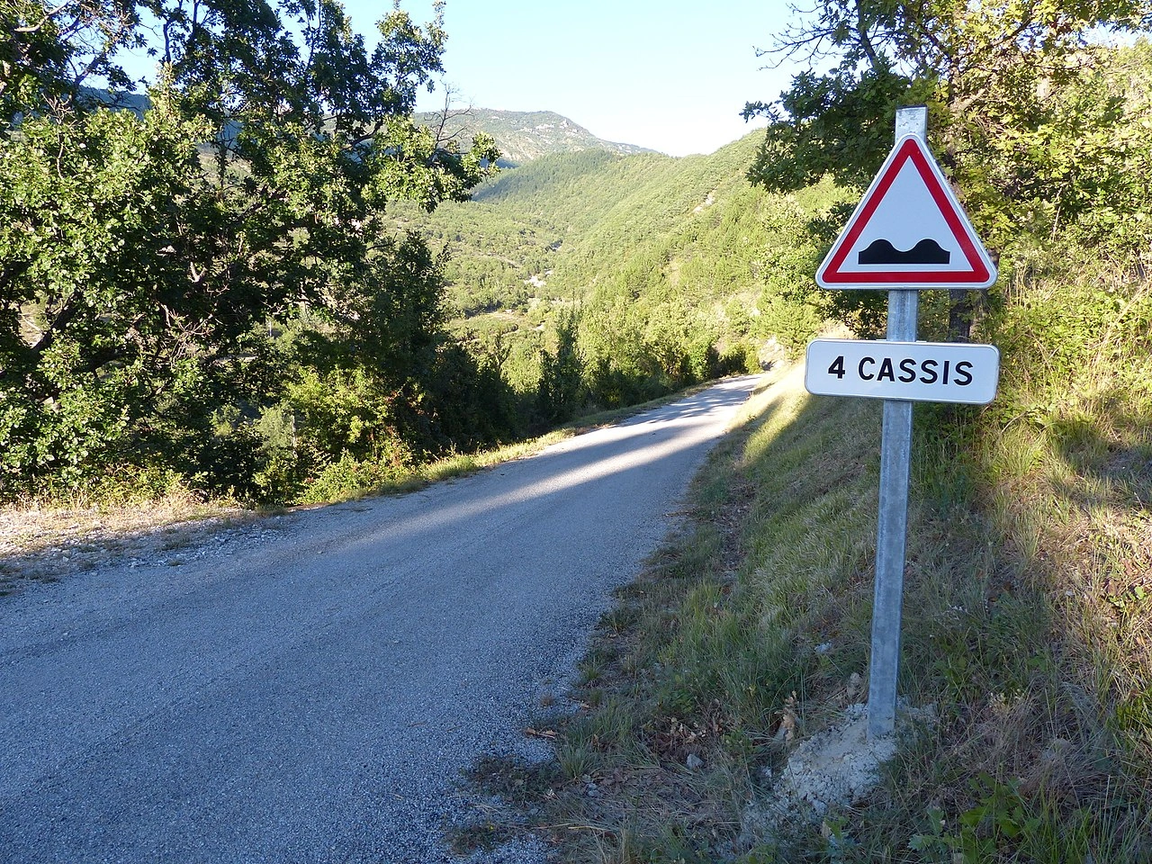 Estado de la calzada
