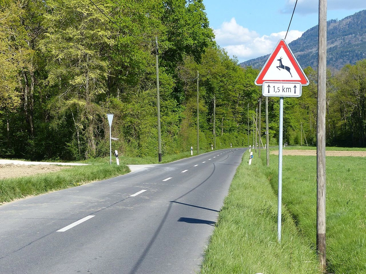 Cruce de animales