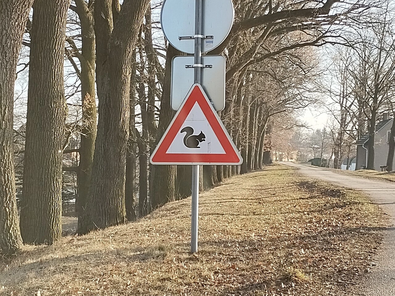 Traversée d’animaux