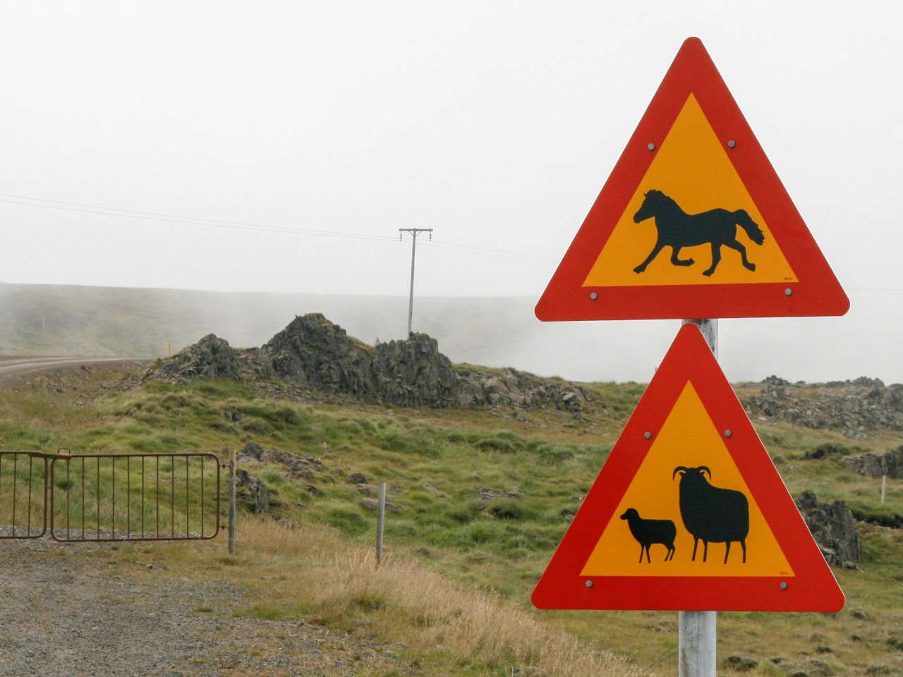 Cruce de animales