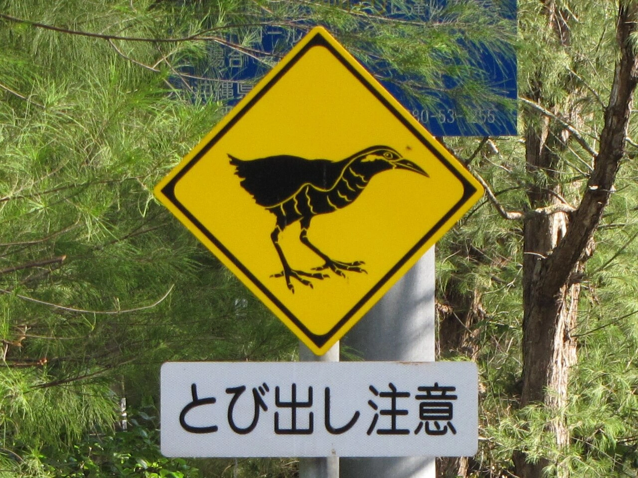 Crossing animals