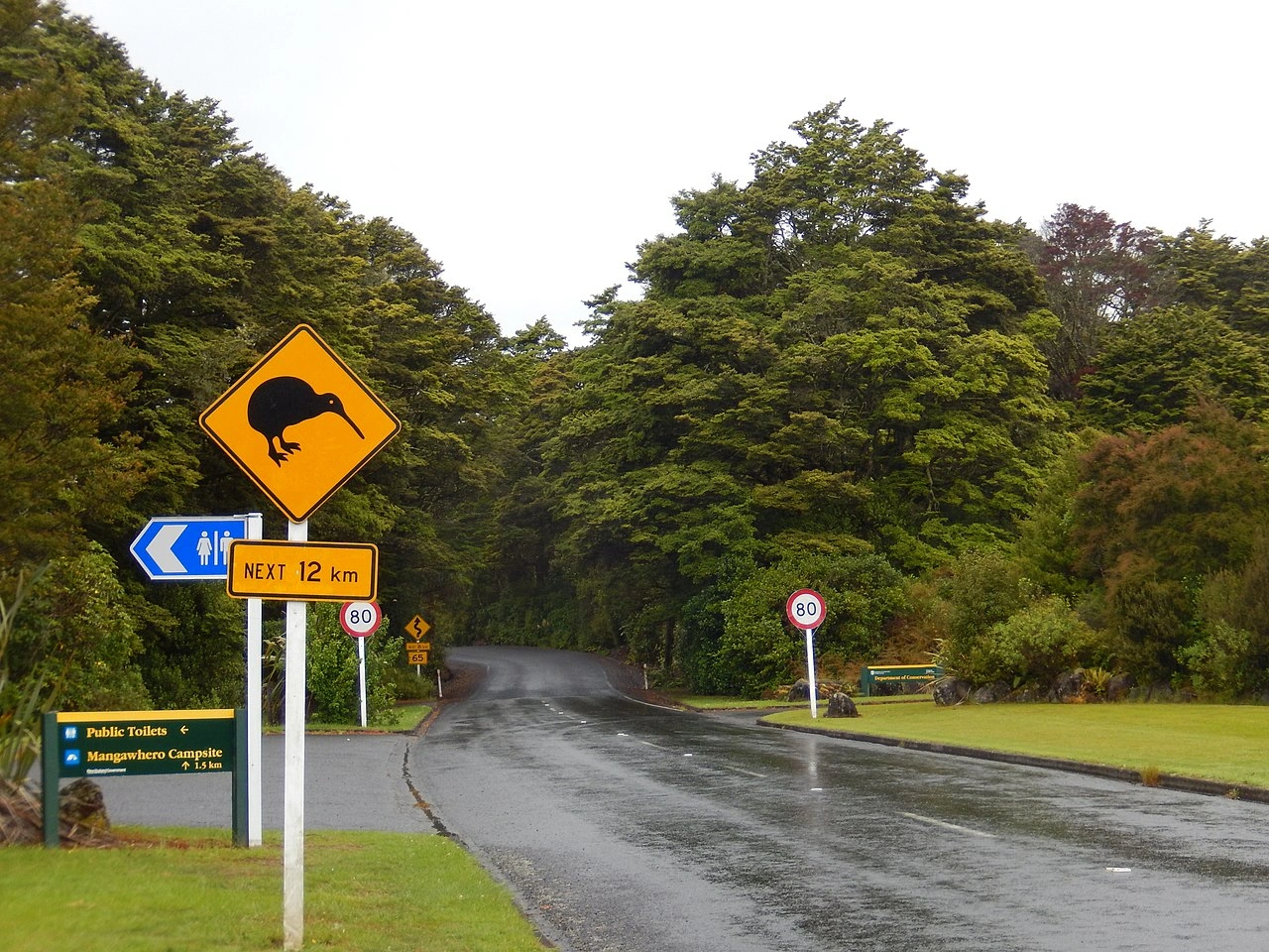 Crossing animals