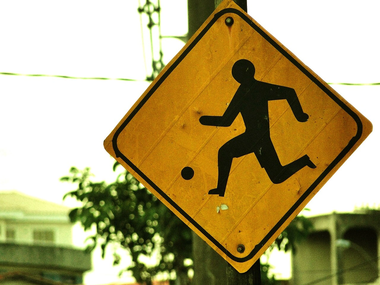 学校周辺