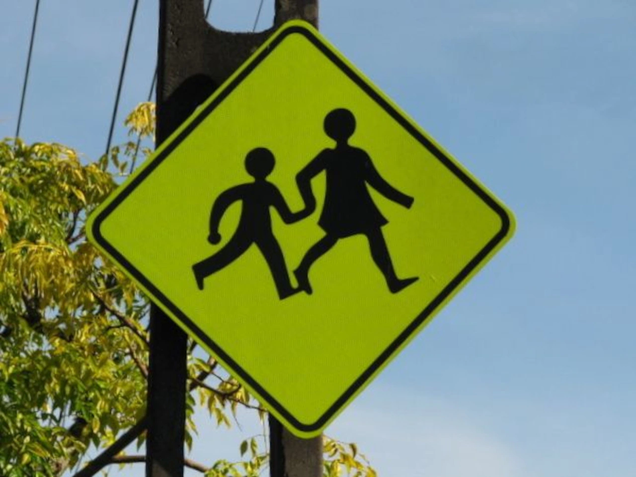 School area