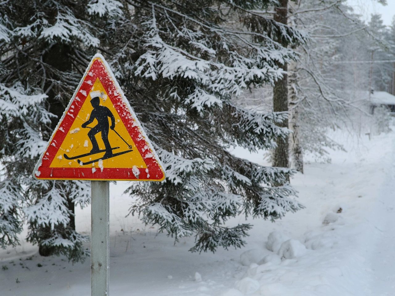 Skiër