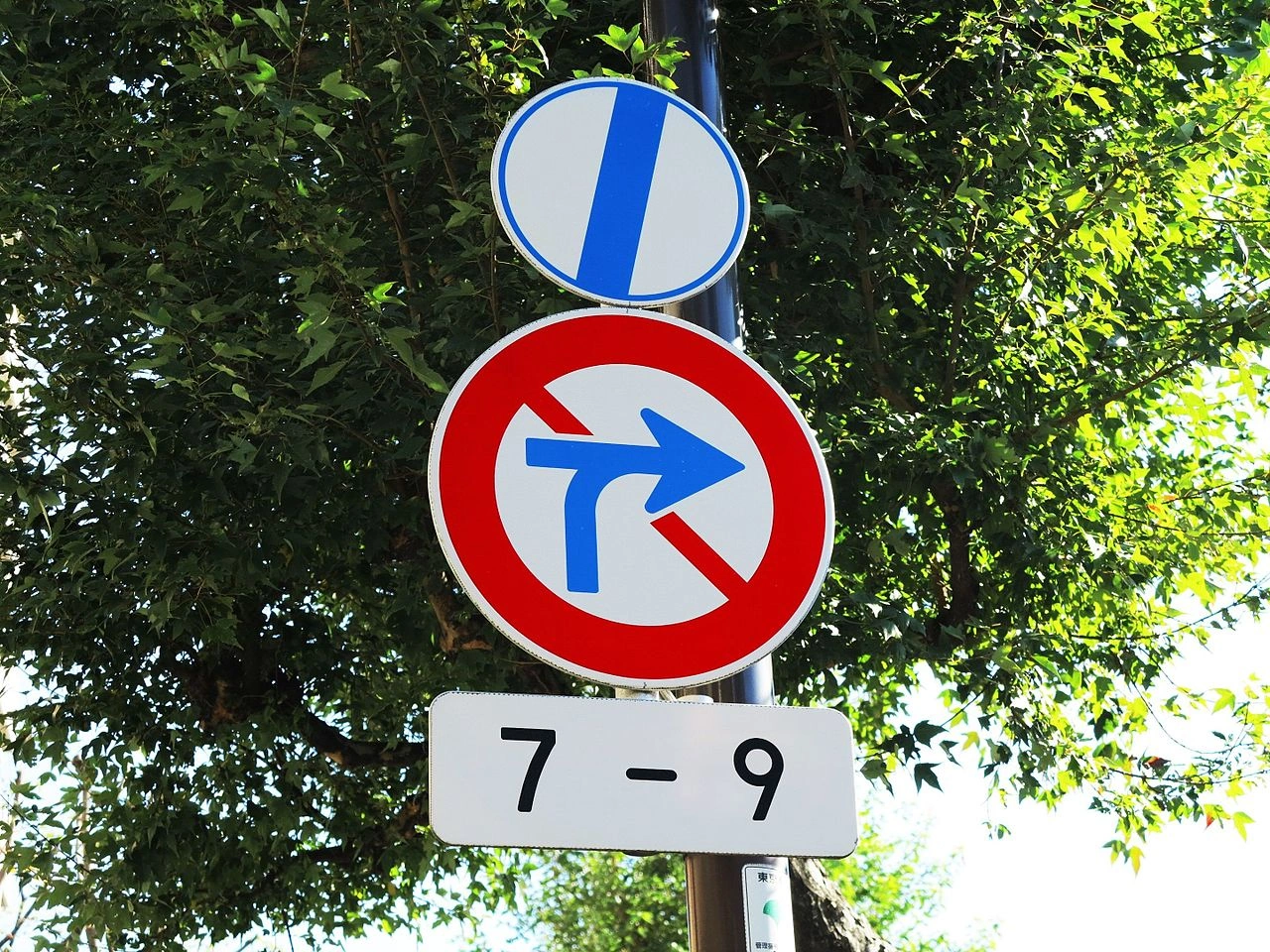 Prohibición de giro