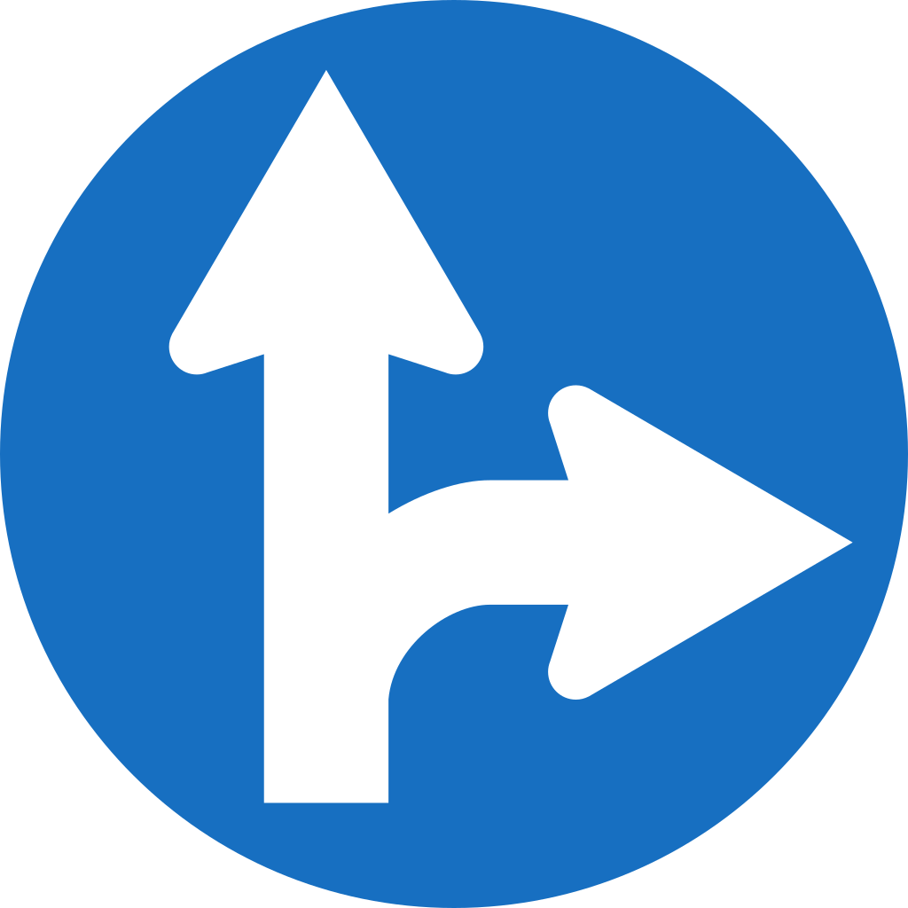 Rechtdoor rijden of rechtsaf slaan verplicht.