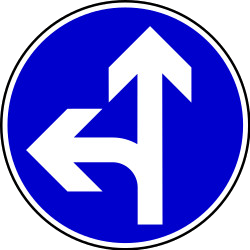 Driving straight ahead or turning left mandatory.