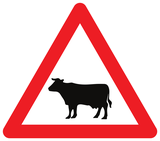 Waarschuwing voor vee op de weg.