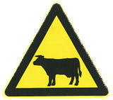 Avertissement pour bétail sur la route.