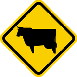 Waarschuwing voor vee op de weg.