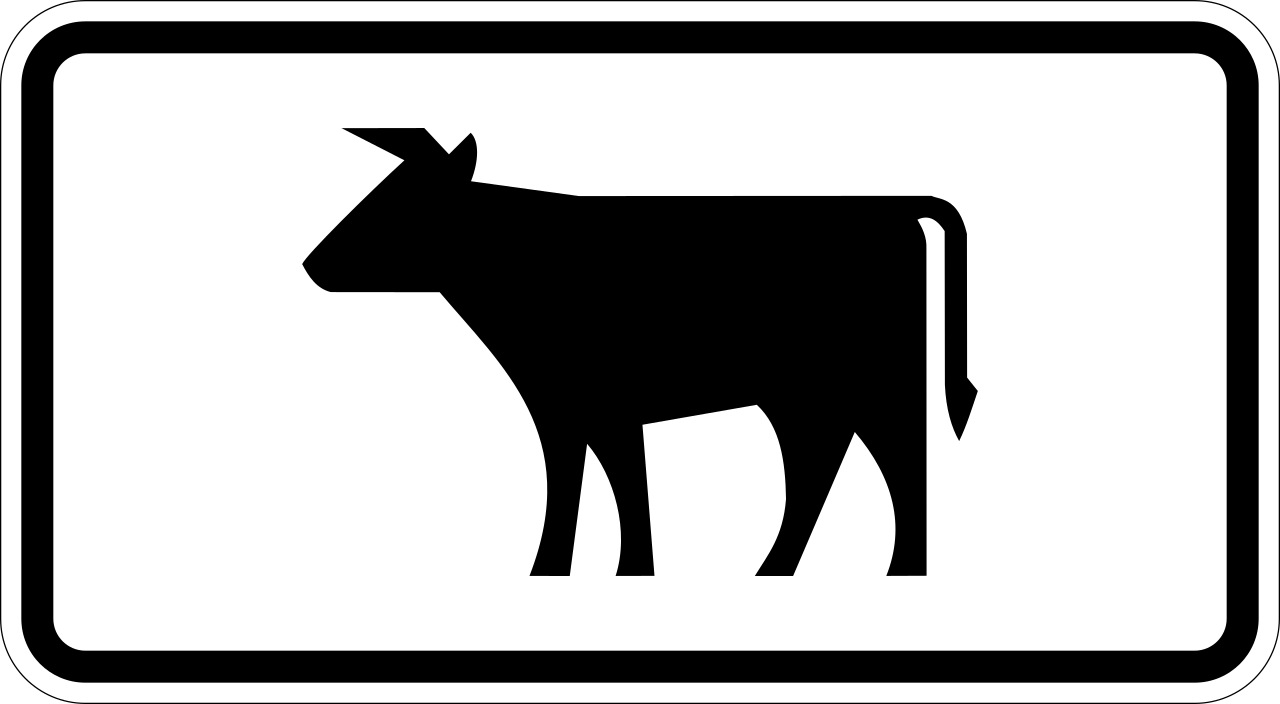For cattle.