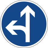 Rechtdoor rijden of linksaf slaan verplicht.