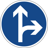 Rechtdoor rijden of rechtsaf slaan verplicht.