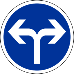 What does this traffic sign mean?