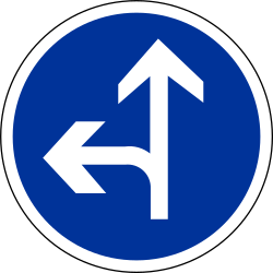 Driving straight ahead or turning left mandatory.