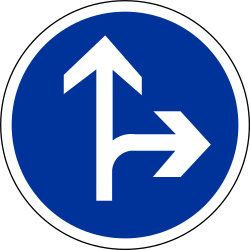 What does this traffic sign mean?