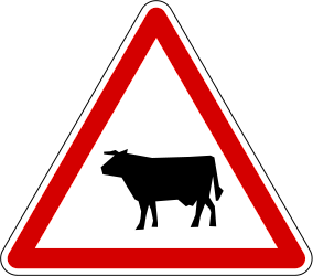 Aviso de gado na faixa de rodagem.