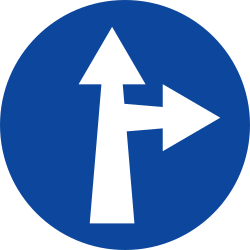 What does this traffic sign mean?