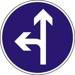 Rechtdoor rijden of linksaf slaan verplicht.