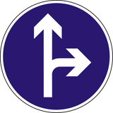 Rechtdoor rijden of rechtsaf slaan verplicht.