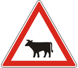 Waarschuwing voor vee op de weg.