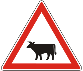 Waarschuwing voor vee op de weg.