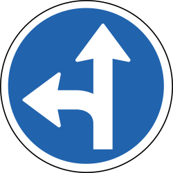 Rechtdoor rijden of linksaf slaan verplicht.